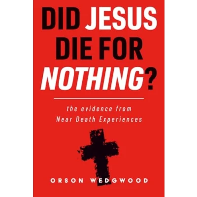 Abbildung von Did Jesus Die For Nothing?: The Evidence From Near Death Experiences (NDEs)
