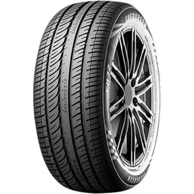 Abbildung von Evergreen Eu72 205/50 R17 93W XL