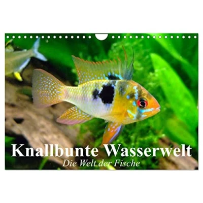 Abbildung von Knallbunte Wasserwelt. Die Welt der Fische (Wandkalender 2025 DIN A4 quer), CALVENDO Monatskalender