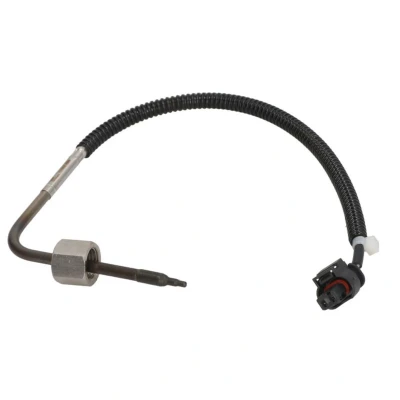 Abbildung von DELPHI TS30203 Sensor, Abgastemperatur MERCEDES BENZ: S Klasse Limousine