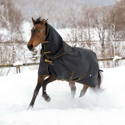 Abbildung von Bucas Regendecke mit Hals Irish Turnout 50g Schwarz/Gold