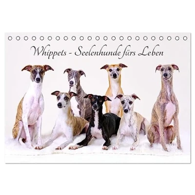 Abbildung von Whippets Seelenhunde fürs Leben (Tischkalender 2025 DIN A5 quer), CALVENDO Monatskalender