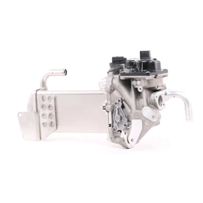 Abbildung von VALEO ORIGINAL PART 700435 AGR Modul mit Kühler, Dichtungen Ventil, Unterdruck Bypass, ohne Schelle VOLKSWAGEN: Transporter 5 Bus