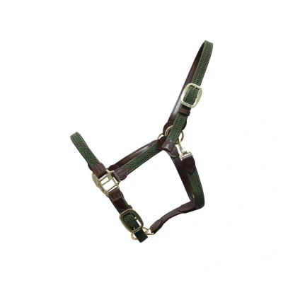 Abbildung von Kentucky Geflochtenes Nylon Halfter Full Olivgrün Leder