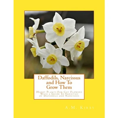Abbildung von Daffodils, Narcissus and How To Grow Them: Hardy Plants For Cut Flowers With a Guide Varieties of Daffodils