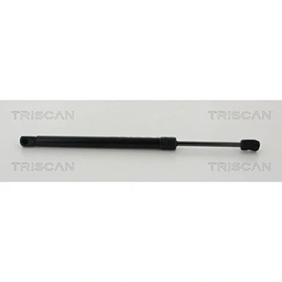 Abbildung von TRISCAN 8710 11134 Motorhaubendämpfer 495N BMW: X5, X6