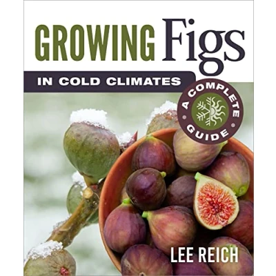 Abbildung von Growing Figs in Cold Climates: A Complete Guide