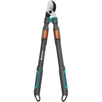 Abbildung von Astschere TeleCut Pro L