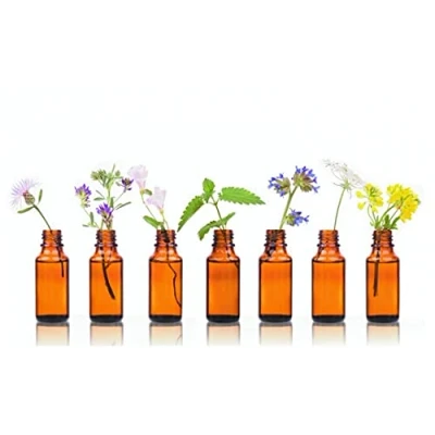 Abbildung von Blutorangenöl BIO, 10ml von Dragonspice Naturwaren,
