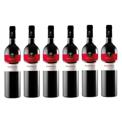Abbildung von 6x 0,75l Cantine Due Palme Canonico Negroamaro Salento I.G.P. Apulien Italien Rotwein trocken