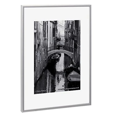 Abbildung von PAPERFLOW Bilderrahmen 42,7 x 30,4 cm silber