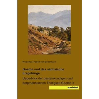Abbildung von Goethe und das saechsische Erzgebirge: Ueberblick der gesteinkundigen bergmaennischen Taetigkeit Goethes: bergmännischen Thätigkeit Goethe&#039;s
