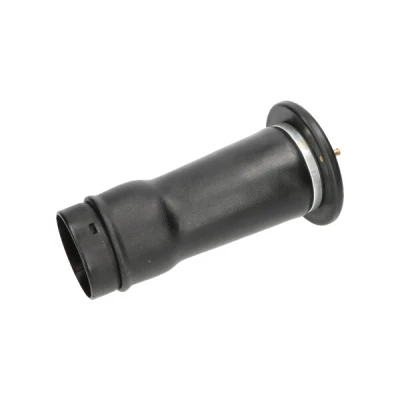 Abbildung von KAVO PARTS SAS 10025 Luftfeder, Fahrwerk Hinterachse LAND ROVER: Discovery 2