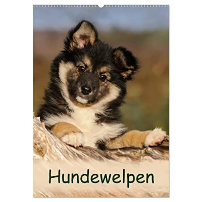 Abbildung von Hundewelpen (Wandkalender 2025 DIN A2 hoch), CALVENDO Monatskalender
