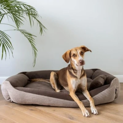 Abbildung von 4L Textil Molly Hundebett Cord mittelgroße Hunde Hundekorb Hundekörbchen aus waschbar mit Bezug (80x60 cm, Braun)