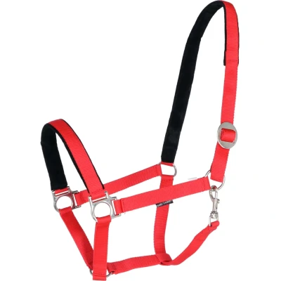 Abbildung von Harry&#039;s Horse Halfter bridoonded Cob Rot