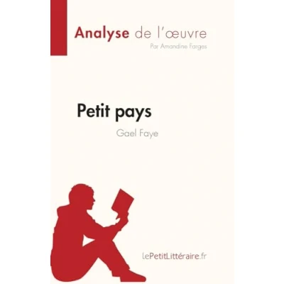 Abbildung von Petit pays de Gael Faye (Analyse l&#039;œuvre): Résumé complet et analyse détaillée l&#039;oeuvre (Fiche lecture)