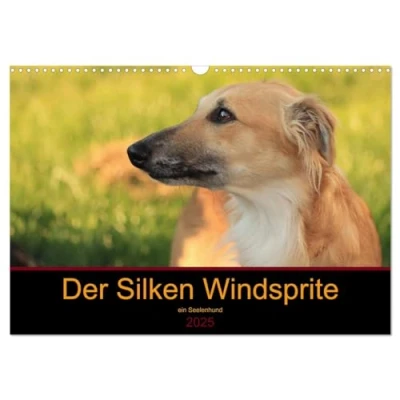 Abbildung von Der Silken Windsprite ein Seelenhund (Wandkalender 2025 DIN A3 quer), CALVENDO Monatskalender