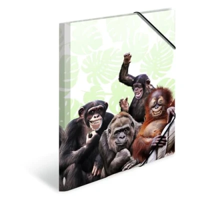Abbildung von HERMA Sammelmappe A3 PP Affenbande