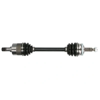 Abbildung von Antriebswelle PASCAL G20007PC