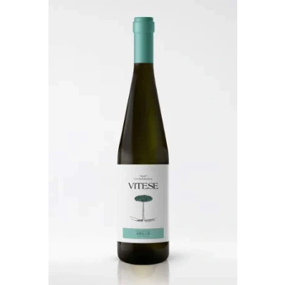 Abbildung von Vitese Grillo DOC Sicilia, BIO 0,75l 13% 2021 Colomba Bianca