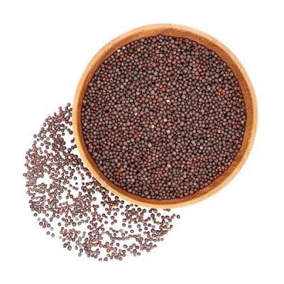 Abbildung von Herbis Natura Senf braun (schwarz) Samen ganz, aus biologischem Anbau, Sinapis nigra (250 Gramm)