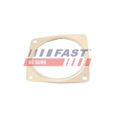 Abbildung von FAST FT84815 Dichtung, Abgasrohr Eingang PEUGEOT: 807, 307 Schrägheck, 406 Limousine, CITROËN: C8, C4 I Coupe, FIAT: Scudo II