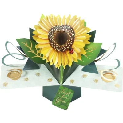 Abbildung von Second Nature POP209 Pop Up Karte mit Aufschrift &quot;Just For You&quot;