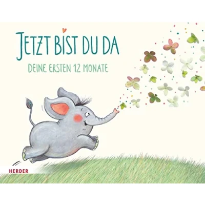 Abbildung von Jetzt bist du da Deine ersten 12 Monate