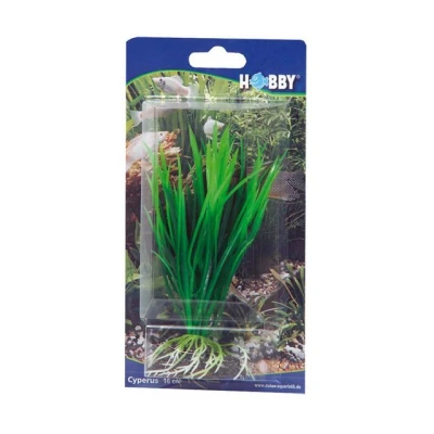 Abbildung von Hobby 41500 Cyperus, 16 cm