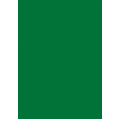 Abbildung von 5 x Brunnen Universalpapier A4 160g dunkelgrün VE=25 Blatt