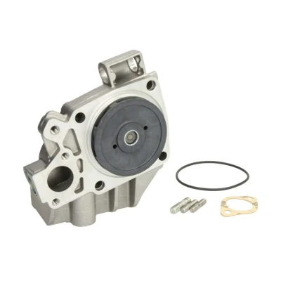 Abbildung von Saleri SIL PA766 Wasserpumpe mechanisch FIAT: Ducato I Pritsche/Fahrgestell, Kastenwagen, Panorama