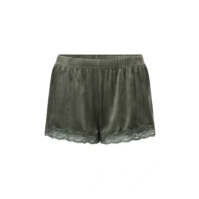 Abbildung von Hunkemöller Shorts aus Velours mit Spitze grün
