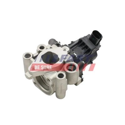 Abbildung von FAST FT60202 AGR Ventil