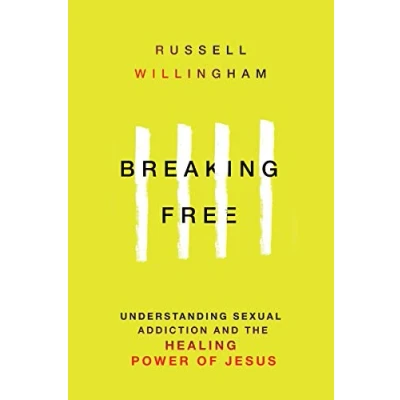 Abbildung von Breaking Free: Understanding Sexual Addiction &amp; the Healing Power of Jesus