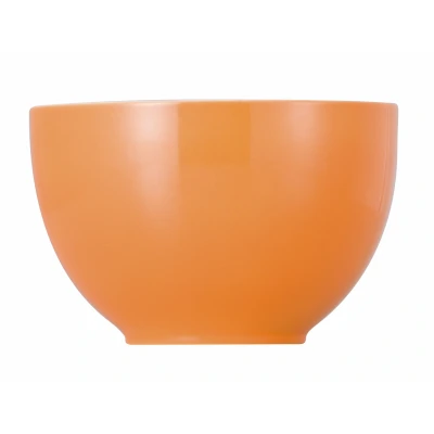 Abbildung von Thomas Sunny Day Orange Müslischale 12 cm