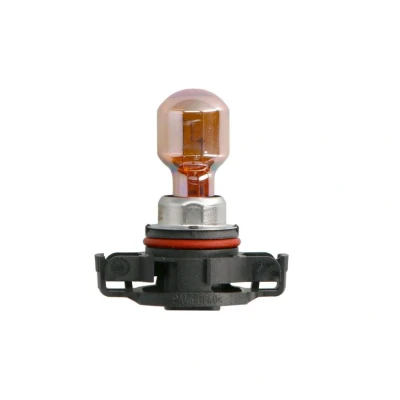 Abbildung von PHILIPS SilverVision 12180SV+C1 Glühlampe, Blinkleuchte silber 12 24 PSY24W VOLKSWAGEN: GOLF 6, Passat B7 Variant, Polo V Schrägheck