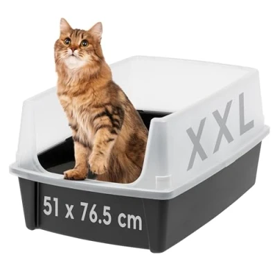 Abbildung von Iris Ohyama Offene Katzentoilette XL ? Große Katzenstreubox ohne Deckel, Hoher Rand, Einfach zu Reinigen, Spritzschutz, Für Katzen &amp; Kätzchen, BPA freier Kunststoff