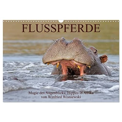 Abbildung von Flusspferde Magie des Augenblicks Hippos in Afrika (Wandkalender 2025 DIN A3 quer), CALVENDO Monatskalender