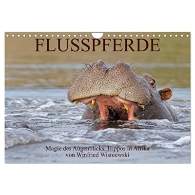 Abbildung von Flusspferde Magie des Augenblicks Hippos in Afrika (Wandkalender 2025 DIN A4 quer), CALVENDO Monatskalender