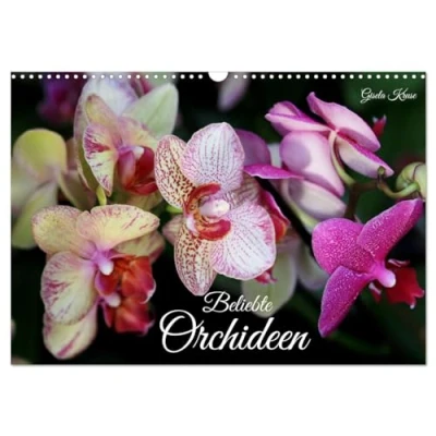 Abbildung von Beliebte Orchideen (Wandkalender 2025 DIN A3 quer), CALVENDO Monatskalender