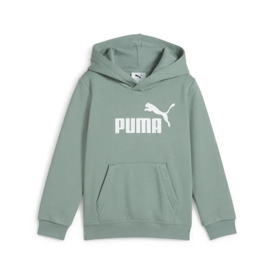 Abbildung von PUMA Unisex Kinder ESS No. 1 Logo Hoodie FL PS Kapuzenpullis, Green Moon,