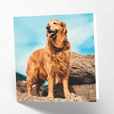 Abbildung von Maturi Blanko Grußkarte mit Golden Retriever Motiv