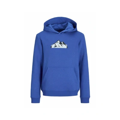 Abbildung von JACK &amp; JONES Boy Kapuzenpullover Logo Mini
