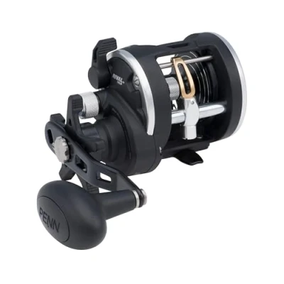 Abbildung von PENN Rival Level Wind Rollen, Schwarz/Silber