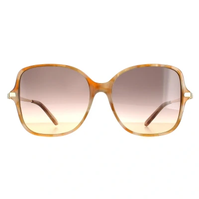 Abbildung von Ferragamo Damen SF990SR 218 Sonnenbrillen Acetat Havanna Grau Quadratisch Schattiert