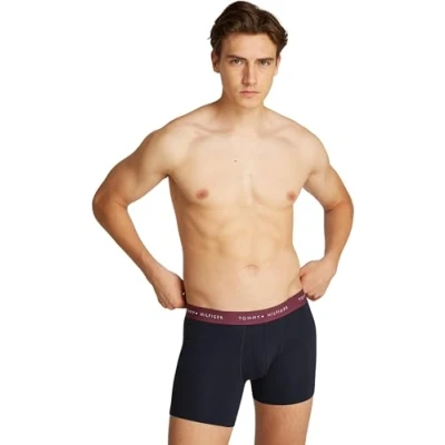 Abbildung von Tommy Hilfiger Herren 3er Pack Boxershorts Briefs aus Baumwolle, Mehrfarbig (Heritage Plum/Unity Blue/White), S