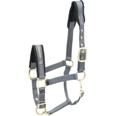 Abbildung von Kieffer Halfter Nylon Grau Warmblut
