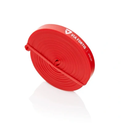 Abbildung von VIA FORTIS Premium Resistance Bands + Übungsanleitung und Tasche Widerstandsbänder/Klimmzugband Klimmzughilfe/Fitnessband/Trainings Bänder für Fitness &amp; Krafttraining