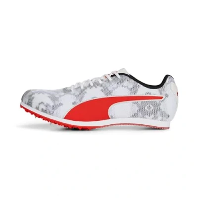 Abbildung von Evospeed Star 8 8.0